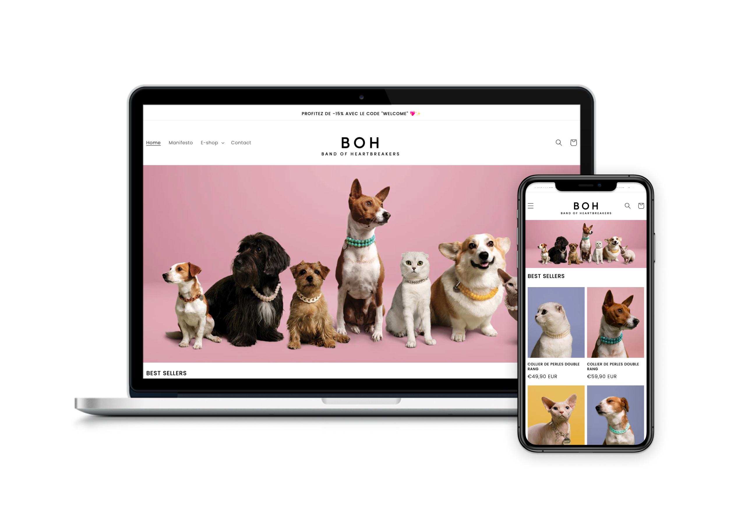 Webdesigner WordPress